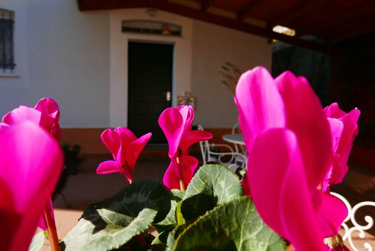 B&B Ai Tre Archi Споторно Екстериор снимка